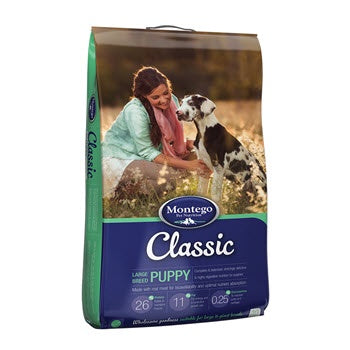 Montego classic 2025 large breed puppy