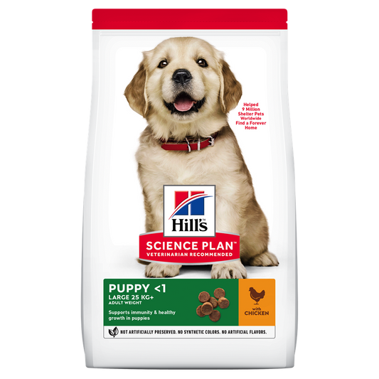 Hills Canine Large Breed Puppy Chicken Dog Food