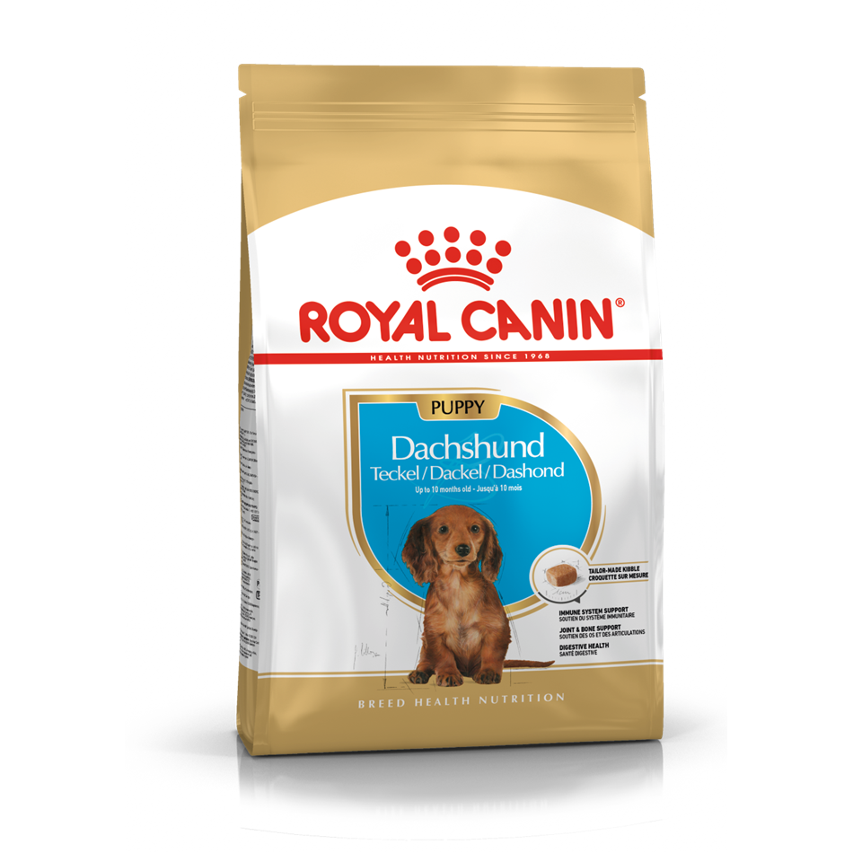 Royal Canin Dachshund Junior Dog Food